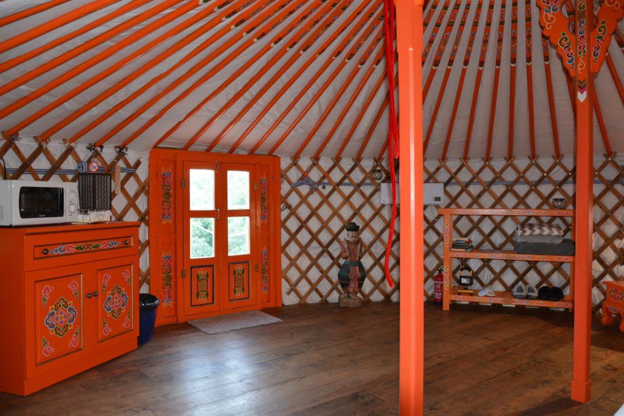 Les Insolites De Taracopala Solliès-Toucas Kültér fotó